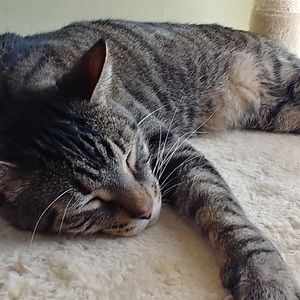 Meet your Posher, Kelsey